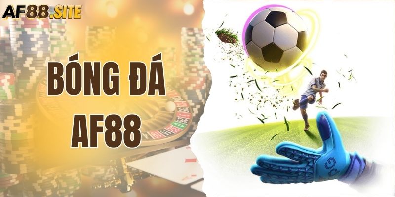 Cá Cược Bóng Đá AF88 - Thắng Lớn, An Toàn, Minh Bạch