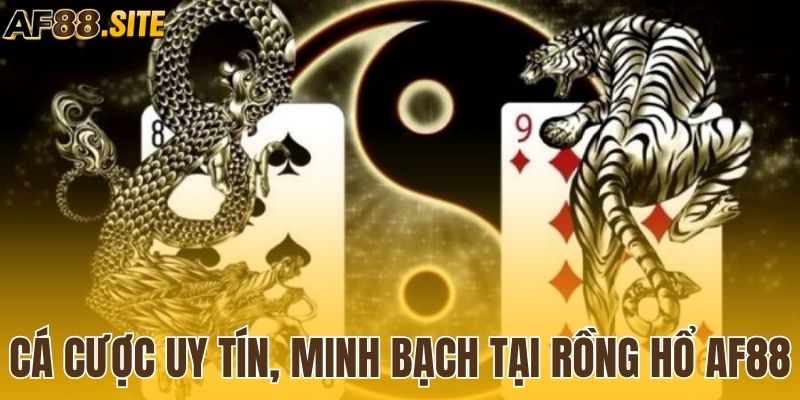 Cá cược uy tín, minh bạch tại Rồng Hổ AF88