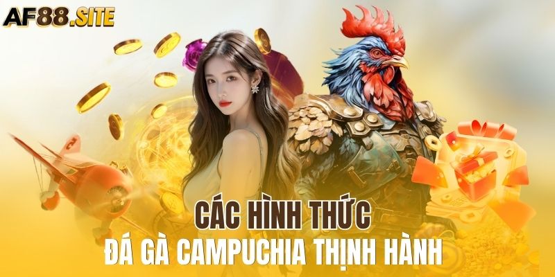 Tổng hợp các công thức đá gà nổi bật tại trường đấu Campuchia