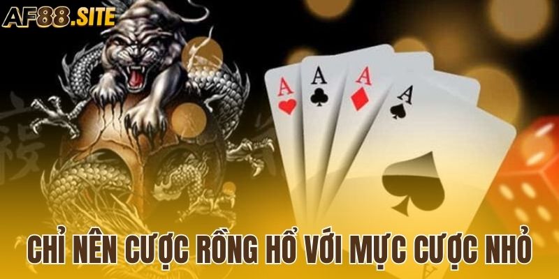 Chỉ nên bắt đầu cược Rồng Hổ với mực cược nhỏ