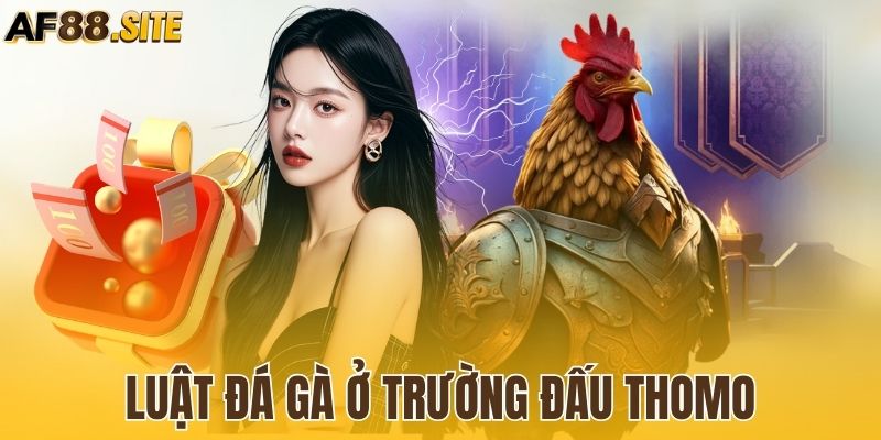 Hiểu rõ về luật thi đấu đá gà ở trường đấu Thomo