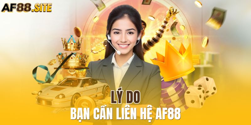 Lý do bạn cần liên hệ AF88