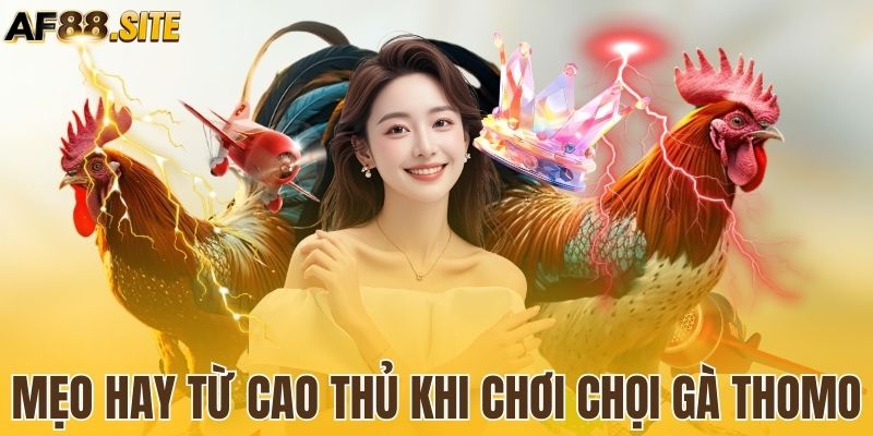 Bí quyết thắng đậm khi chốt kèo đá gà