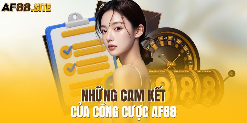 Những cam kết của cổng cược AF88