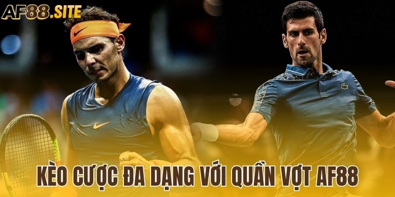 Tham gia kèo cược đa dạng với quần vợt AF88